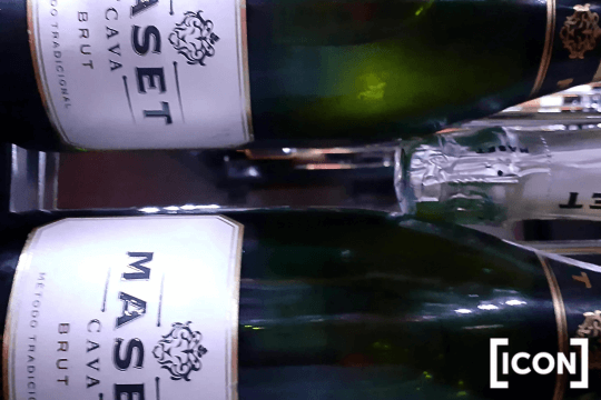 MASET CAVA ODPOCZYWA W LODÓWCE